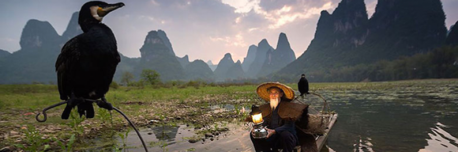 Cover image for post The River and the Raven, by Taki