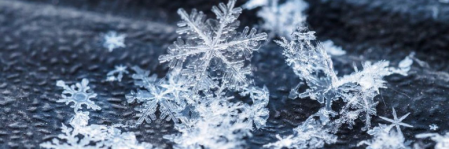 Cover image for post Winter Greetings, by poetgreen