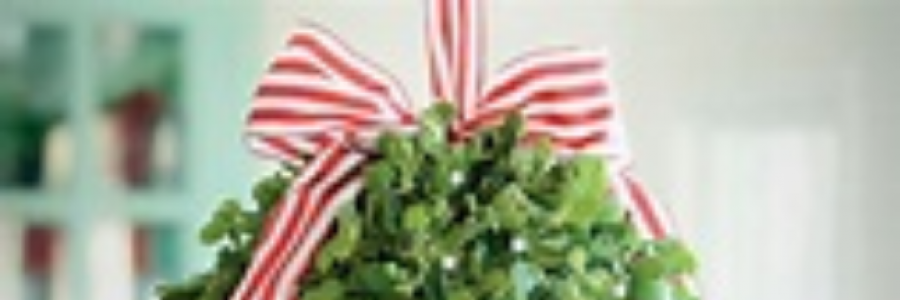 Cover image for post Untitled, by BonnieBoo