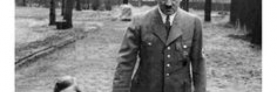 Cover image for post Blaue Augen, by Chacko_Stephen