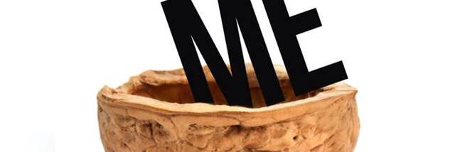 Cover image for post In A Nutshell, by Jessicafawn