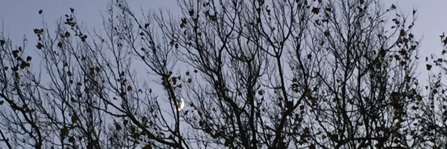 Cover image for post Old, Relentless Love, by Akite