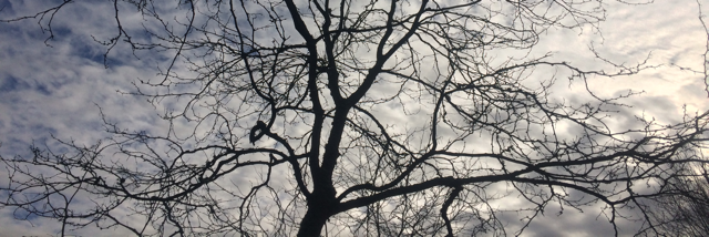 Cover image for post A Wanted Amnesia, Denied, by lillith665