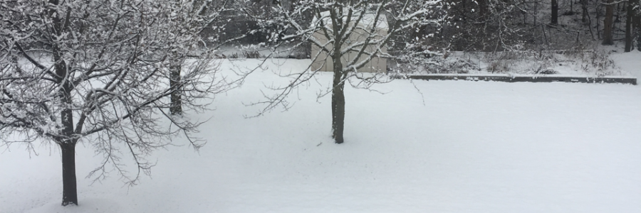 Cover image for post Untitled, by Aksoy