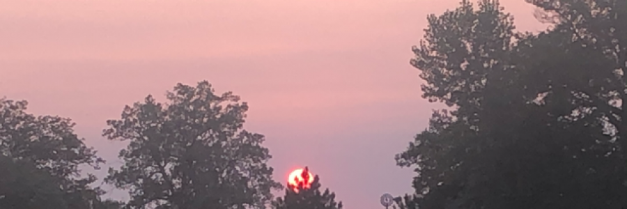 Cover image for post My voice, by ValerieKCHN