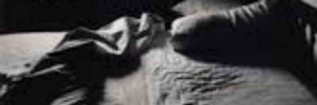 Cover image for post Haiga 1, by Rafaelopezjr