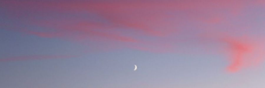 Cover image for post Pink Particles, by TeaRise