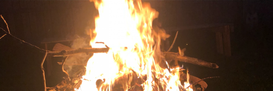 Cover image for post Ignorance is Bliss, by ValerieKCHN