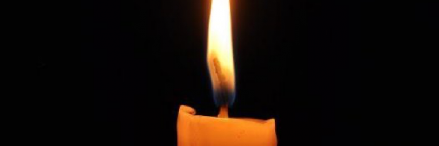 Cover image for post Fever Dream, by llesorell