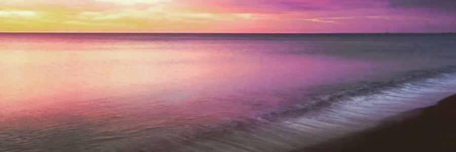 Cover image for post Tropical Thoughts, by JuliusWade