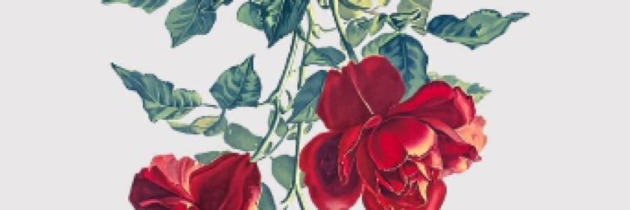 Cover image for post PRESSURE, by Mnezz