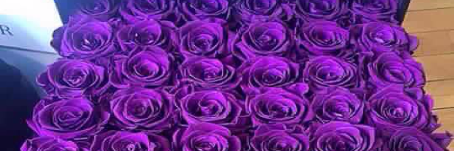 Cover image for post Love's action, by Godzdiva