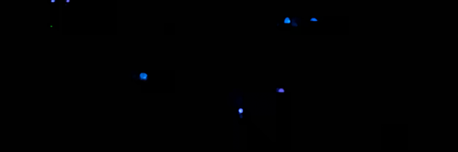 Cover image for post Purple, by ValerieKCHN