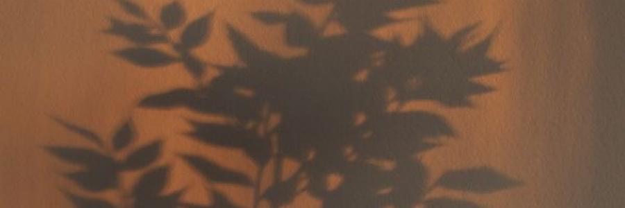 Cover image for post You, by yanarenae