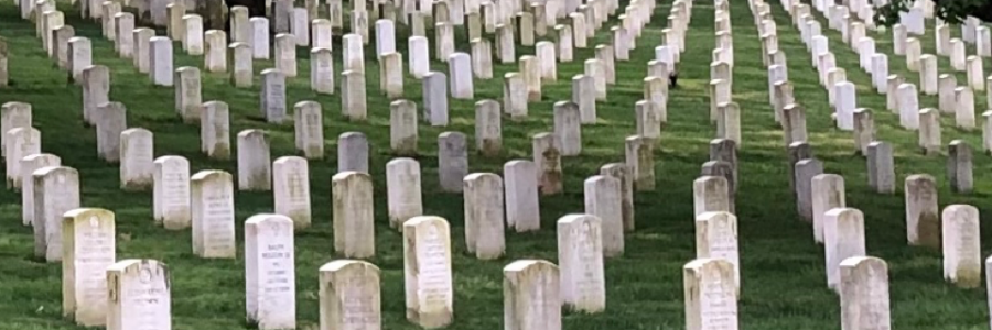 Cover image for post I saw a boy, by Reynold