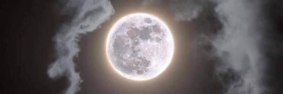 Cover image for post Home, by DepressedMoth