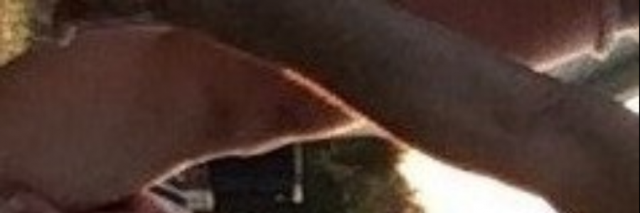 Cover image for post 'surrealism du jour of a woman-child unbound' by Delicate Bellwether, by REllyn