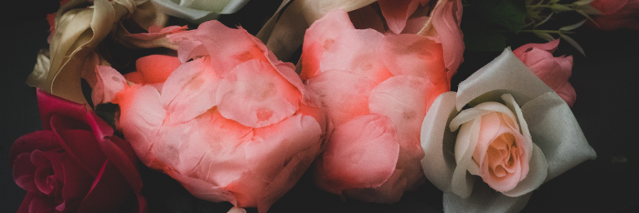 Cover image for post Culling, by Kiarac8