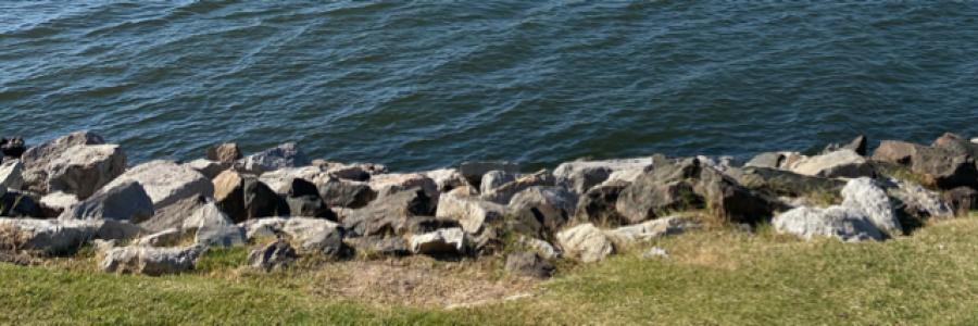 Cover image for post DOUBTS ON MY PILLOW, by Aray