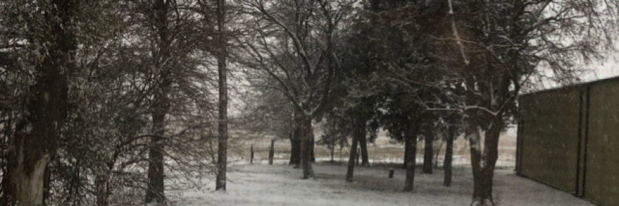 Cover image for post He knows, by ValerieKCHN