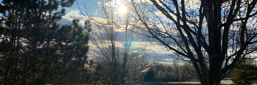 Cover image for post The Last Days, by LoriPrieur