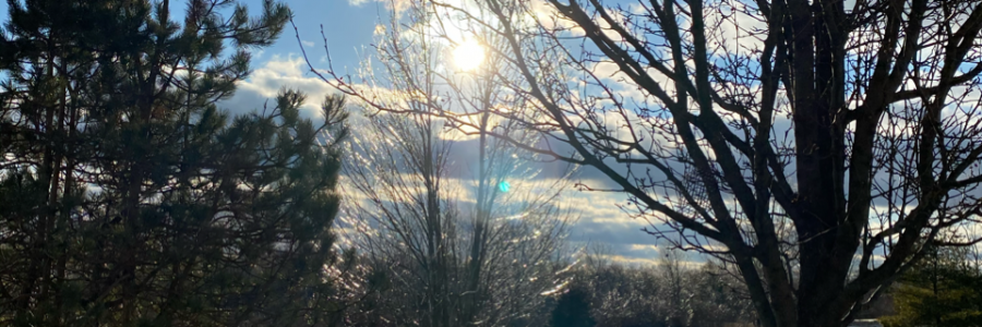 Cover image for post The Last Days, by LoriPrieur