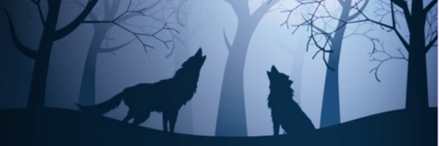 Cover image for post NIGHTS OF THE WERE, by Aray