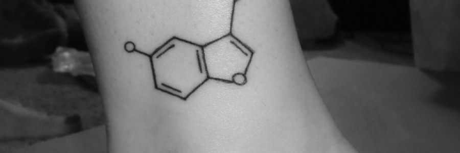 Cover image for post Crash, by chloe841