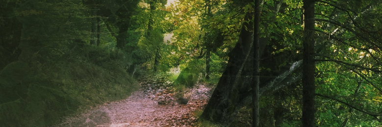 Cover image for post The King's Daughters, by sarah_tanzmann