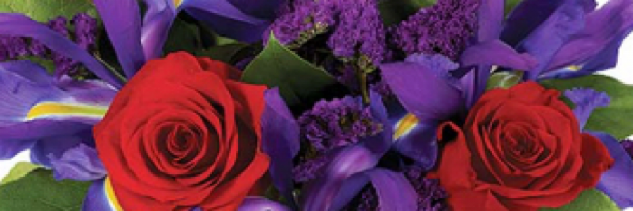 Cover image for post Violets Make Lousy Gifts, by Fortbruce