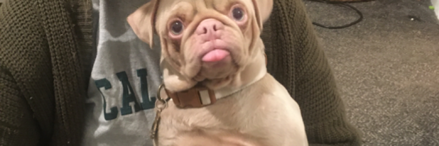 Cover image for post There is no "you". It's just me, by Etch