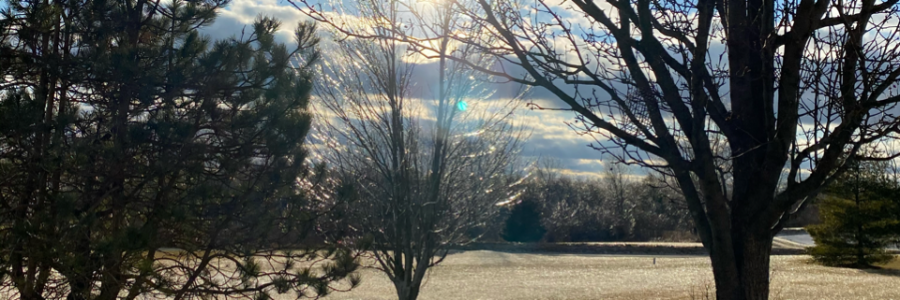 Cover image for post The Last Days, by LoriPrieur