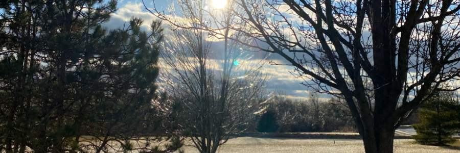 Cover image for post The Last Days, by LoriPrieur