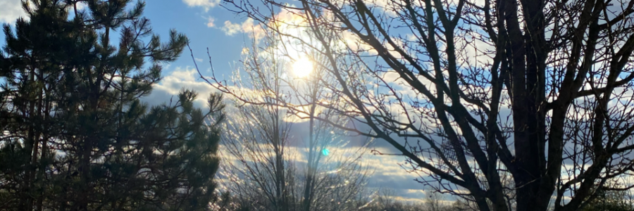 Cover image for post The Last Days, by LoriPrieur