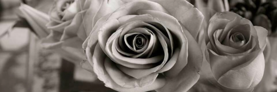 Cover image for post The Longest Nights, by mrsrebeccalane