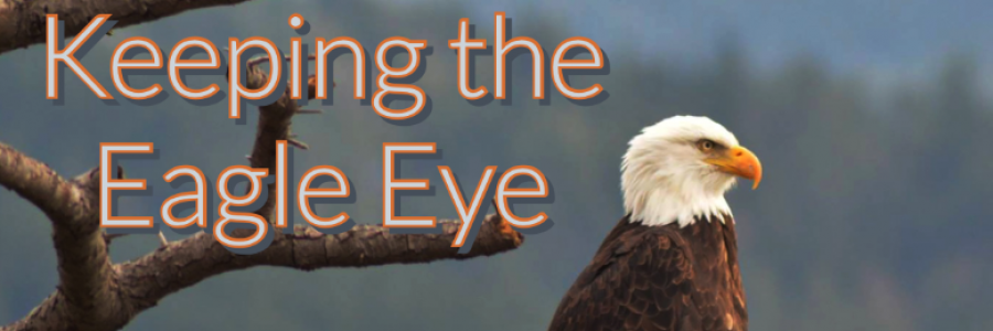 Cover image for post Don't Miss Your Shot, by DeniseParton