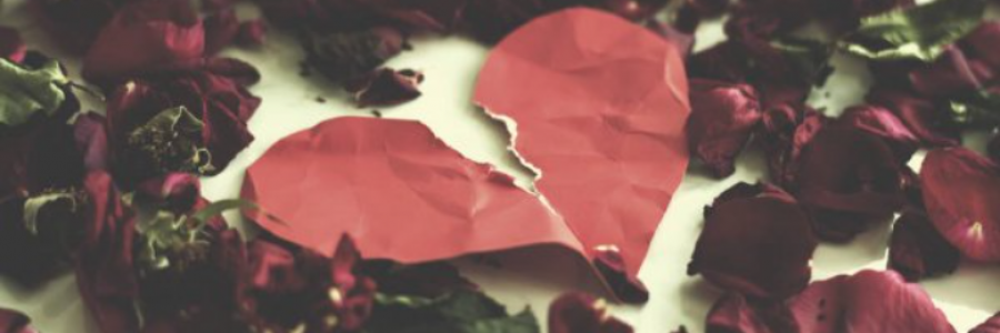 Cover image for post Why, by Danceinsilence