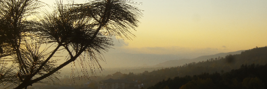 Cover image for post Wu Wei Zheng Dao 65, by PuJue