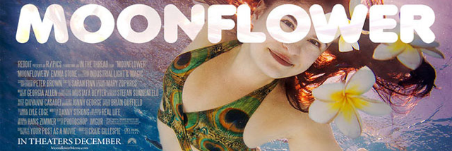 Cover image for post Link to gallery, by C