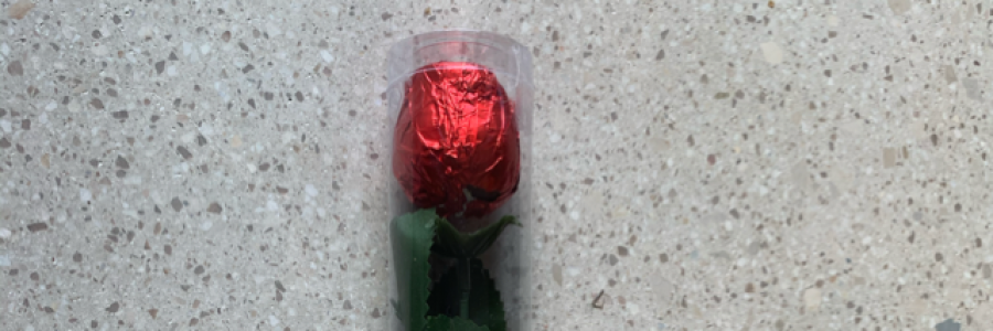 Cover image for post Inconvenient Valentine, by DavidMark