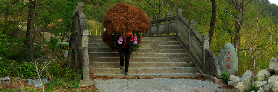 Cover image for post Wu Wei Zheng Dao 66, by PuJue