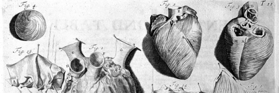 Cover image for post My "Roommate" 
(A condensed sestina), by fabulous