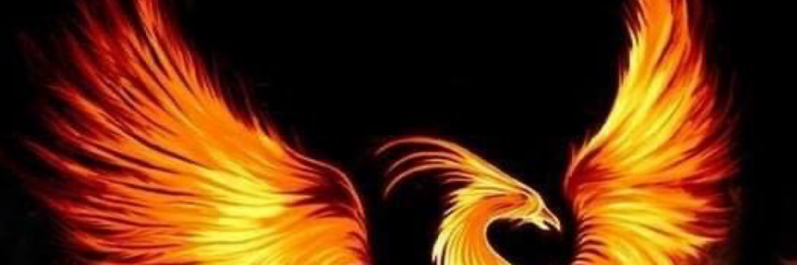 Cover image for post Life, by Mimilov45