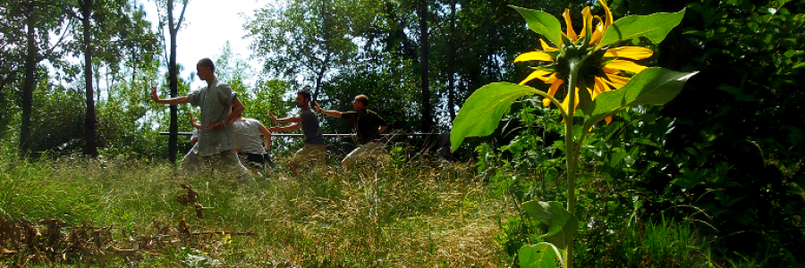 Cover image for post Wu Wei Zheng Dao 68, by PuJue