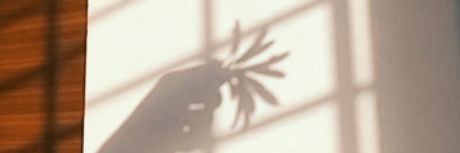 Cover image for post Parchment memories\\, by FiaA