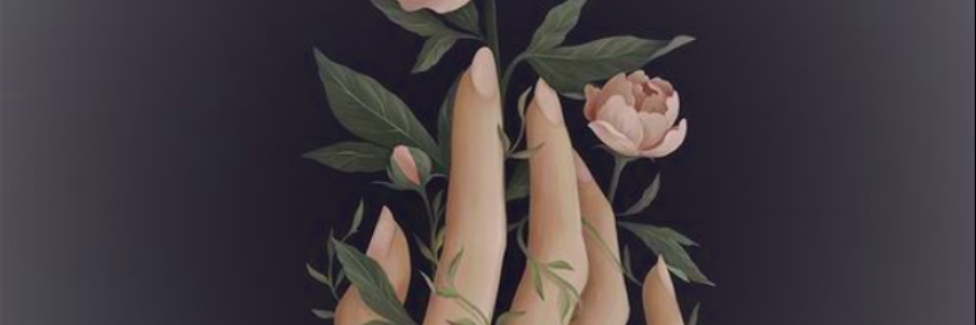 Cover image for post the softest chaos, by anarosewood