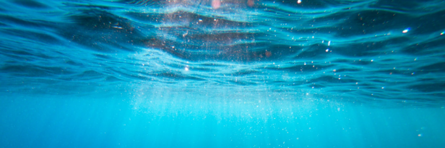 Cover image for post The Trap, by Kiarac8