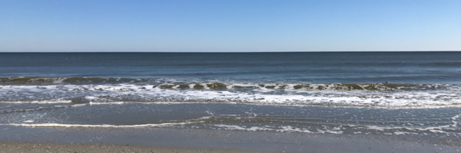 Cover image for post A Cheesy Love Letter, by Adventurer7