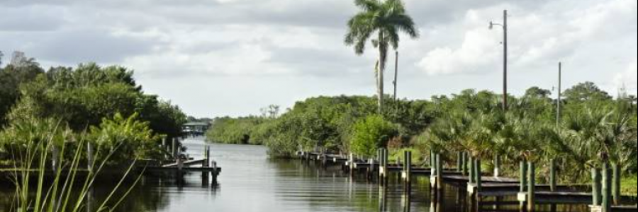 Cover image for post Our Happy Place, by mollyoleary