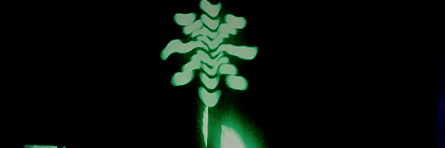 Cover image for post The Curse, by TruMonroe